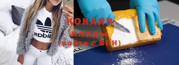 прущие грибы Костерёво