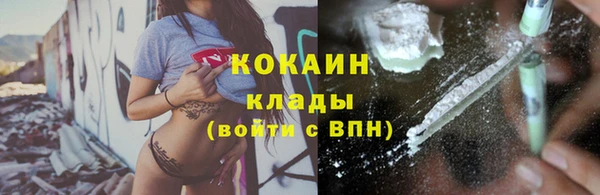 индика Кодинск
