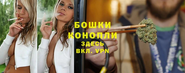 прущие грибы Костерёво