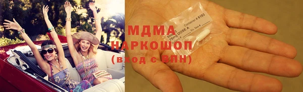 прущие грибы Костерёво