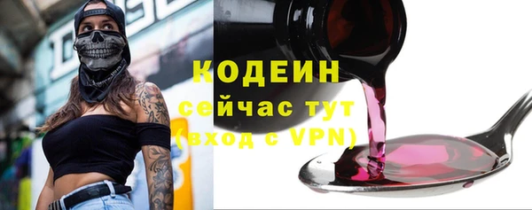 индика Кодинск