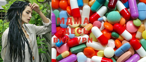 ГАЛЛЮЦИНОГЕННЫЕ ГРИБЫ Козловка