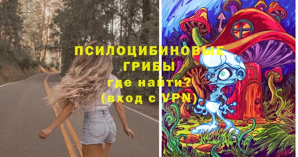 а пвп мука Коряжма