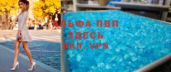 прущие грибы Костерёво