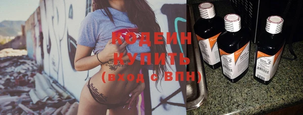 индика Кодинск