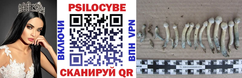 Псилоцибиновые грибы MAGIC MUSHROOMS  hydra ТОР  Лакинск  купить  сайты 